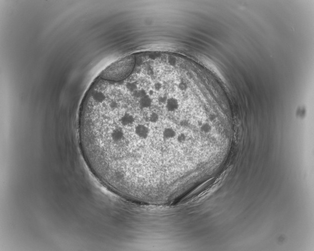 X0000093101087200710241216