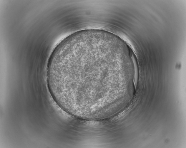 X0000093101088200710241216