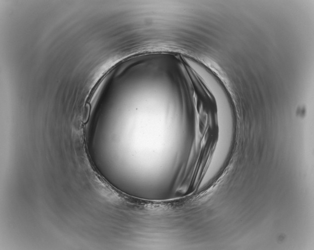 X0000093101089200710241216
