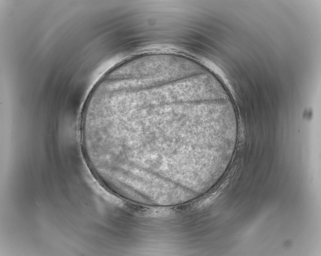 X0000093101090200710241216