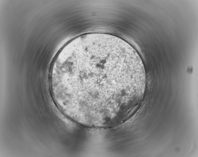 X0000093101091200710241216