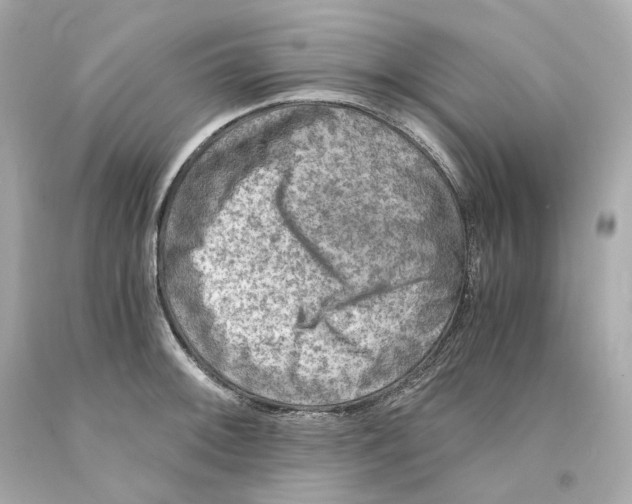 X0000093101092200710241216