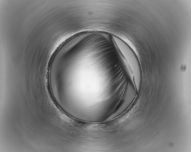 X0000093101093200710241216