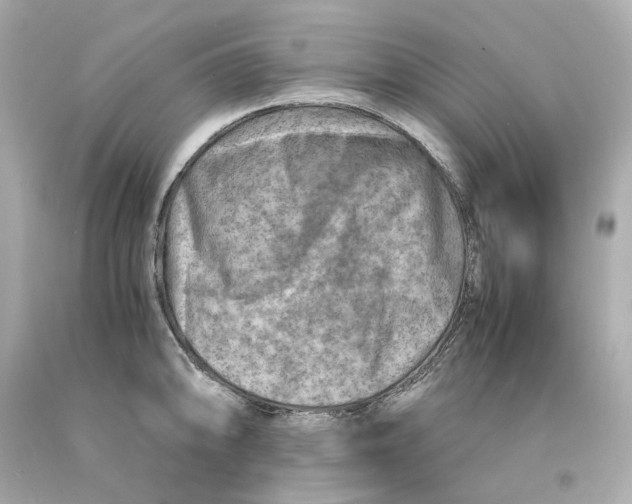 X0000093101094200710241216