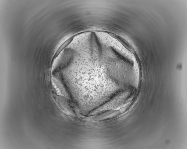 X0000093101097200710241216