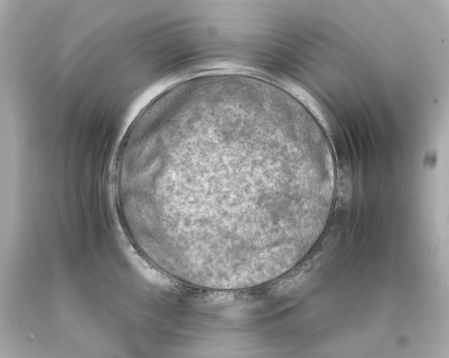 X0000093101098200710241216