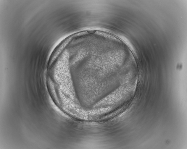 X0000093101100200710241216