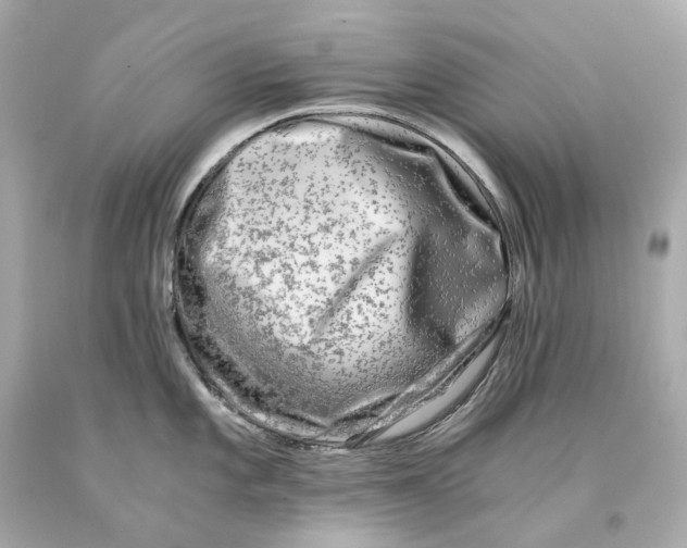 X0000093101101200710241216