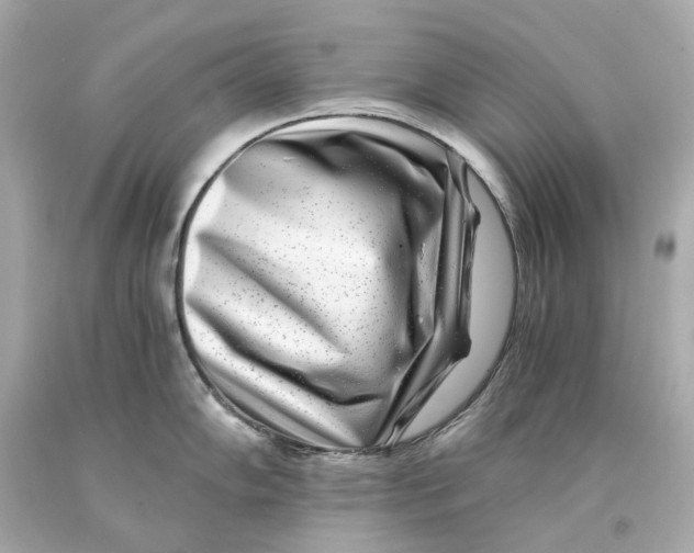 X0000093101102200710241216