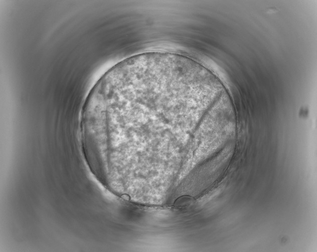 X0000093101103200710241216