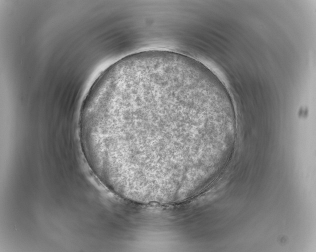 X0000093101104200710241216