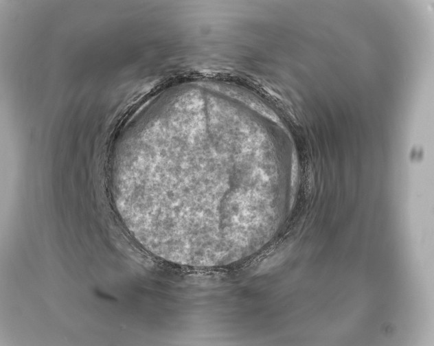 X0000093101105200710241215