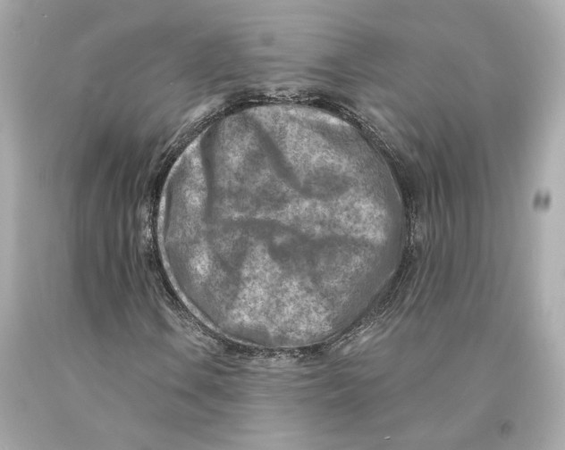 X0000093101106200710241215