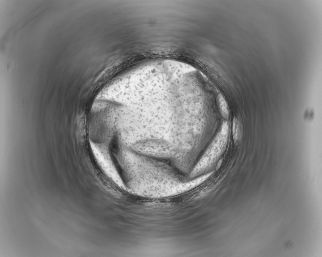 X0000093101107200710241215