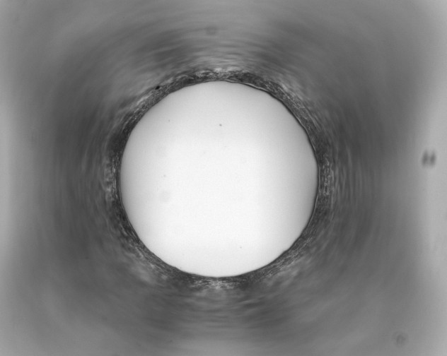 X0000093101109200710241215