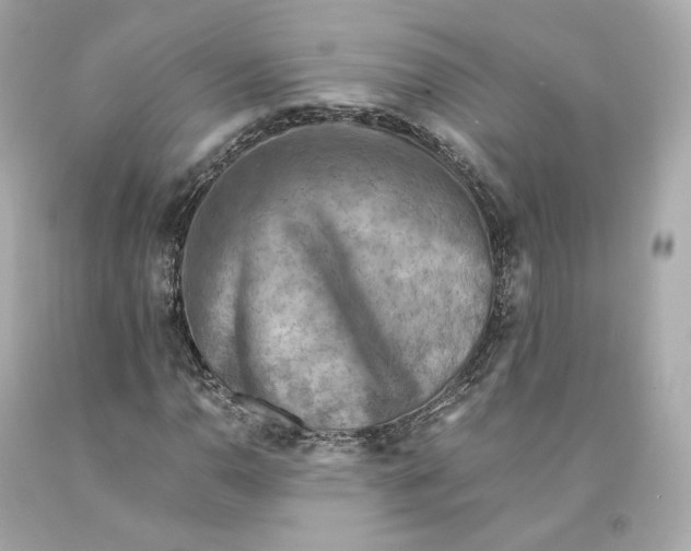 X0000093101110200710241215