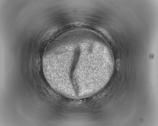 X0000093101111200710241215