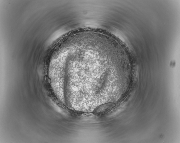X0000093101112200710241215
