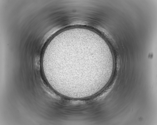 X0000093101113200710241216