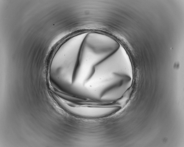 X0000093101114200710241216