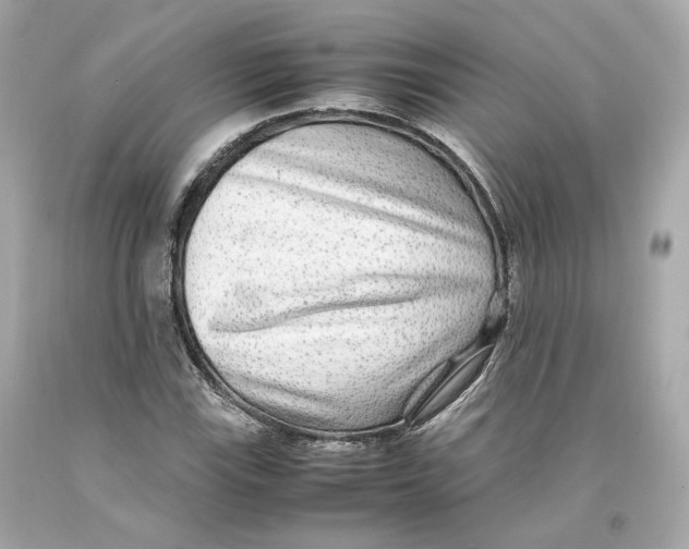 X0000093101115200710241216