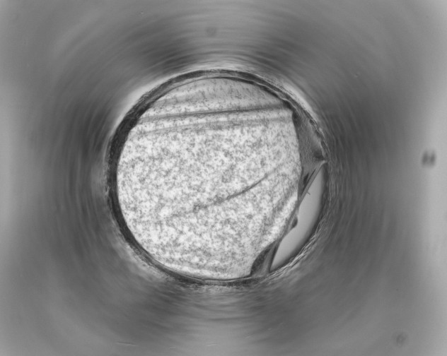 X0000093101116200710241216