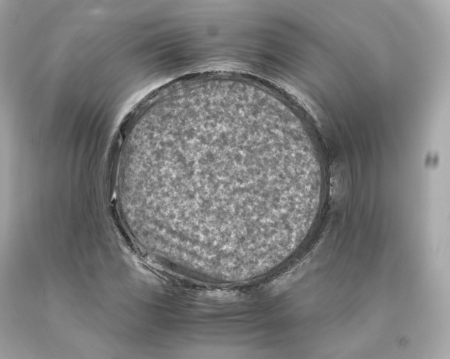 X0000093101117200710241216