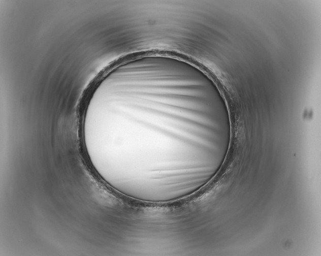 X0000093101118200710241216