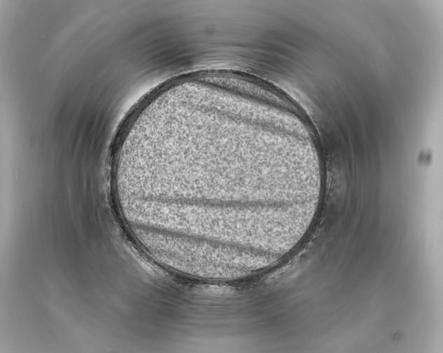 X0000093101119200710241216