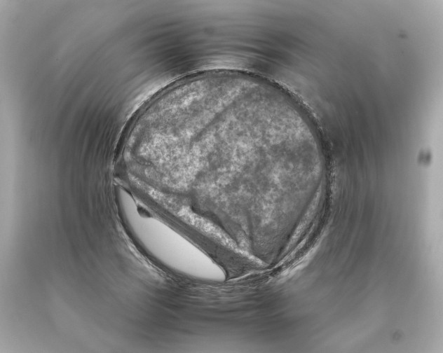 X0000093101121200710241216