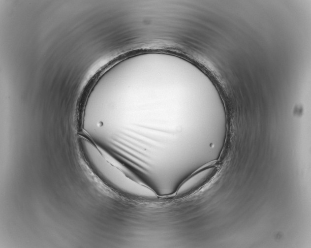 X0000093101122200710241216