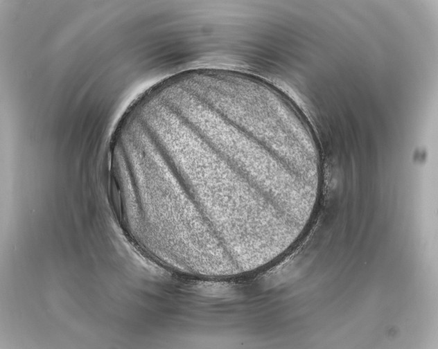 X0000093101123200710241216