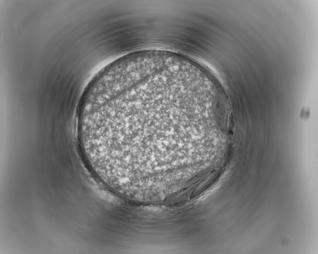 X0000093101125200710241216