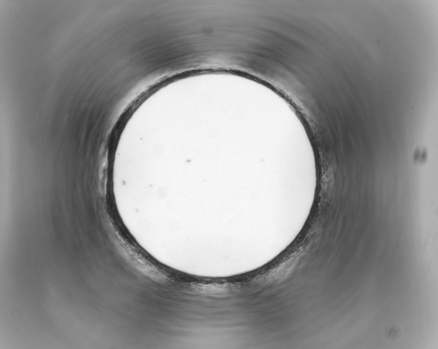 X0000093101126200710241216