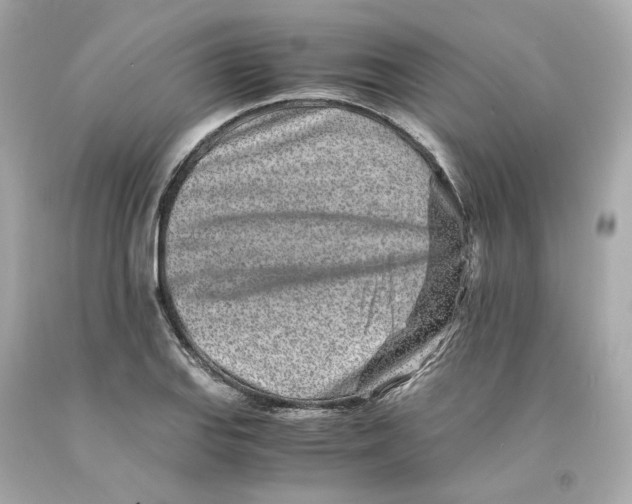 X0000093101127200710241216