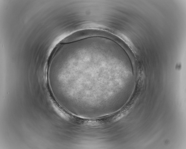 X0000093101128200710241216