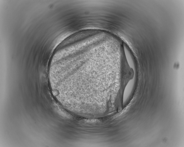 X0000093101129200710241216