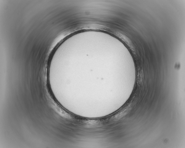 X0000093101130200710241216
