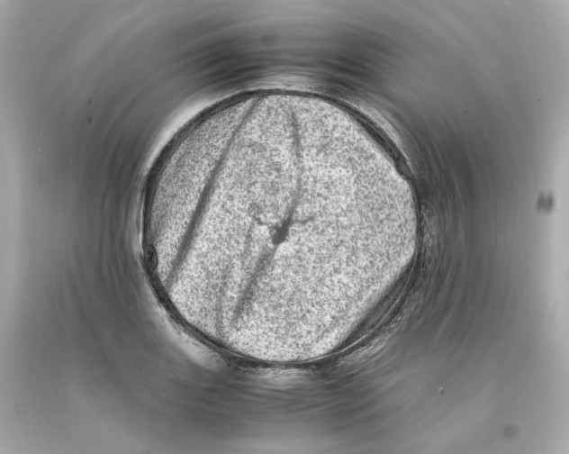 X0000093101131200710241216