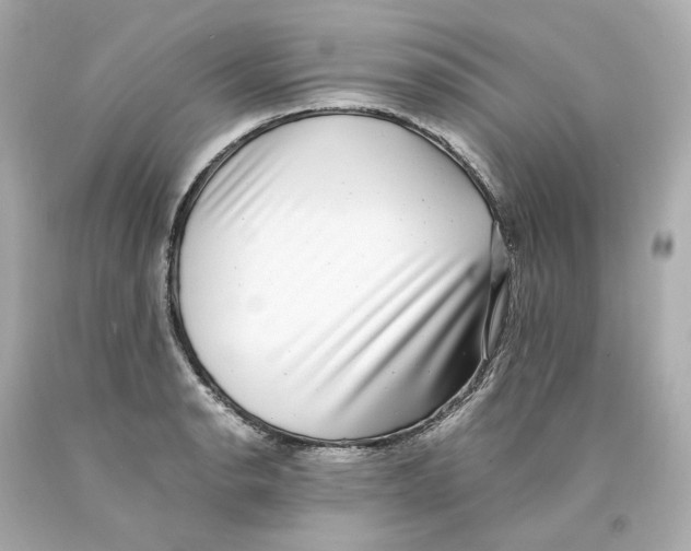X0000093101134200710241216