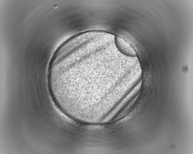 X0000093101135200710241216