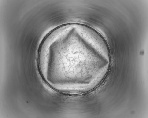 X0000093101136200710241216