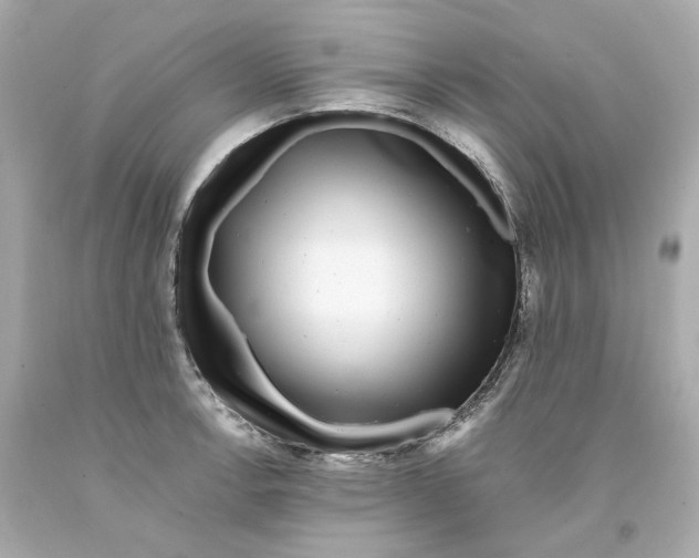 X0000093101138200710241216