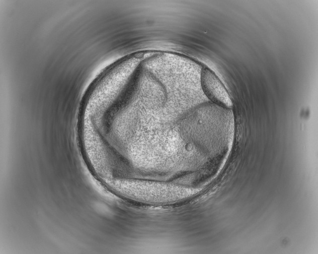 X0000093101139200710241216
