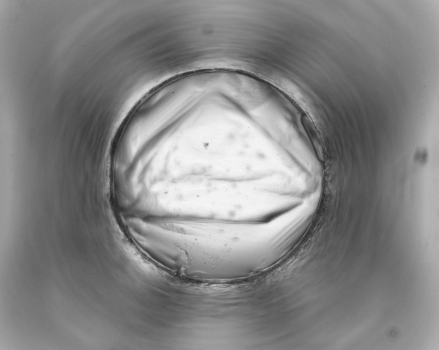 X0000093101140200710241216