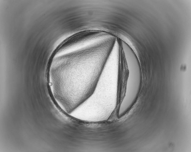 X0000093101141200710241216