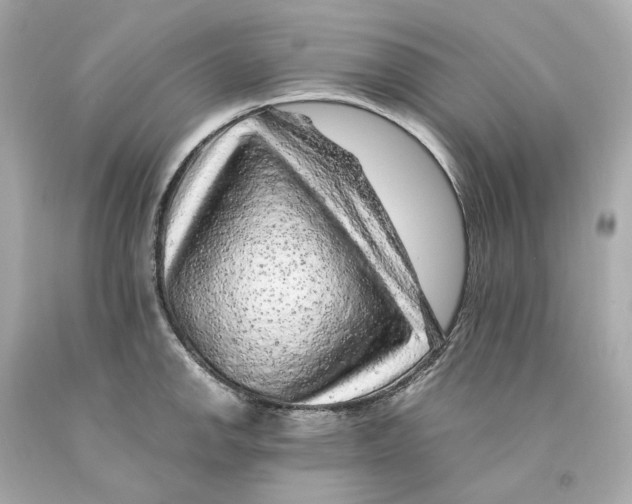 X0000093101142200710241216