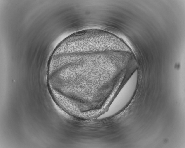 X0000093101143200710241216