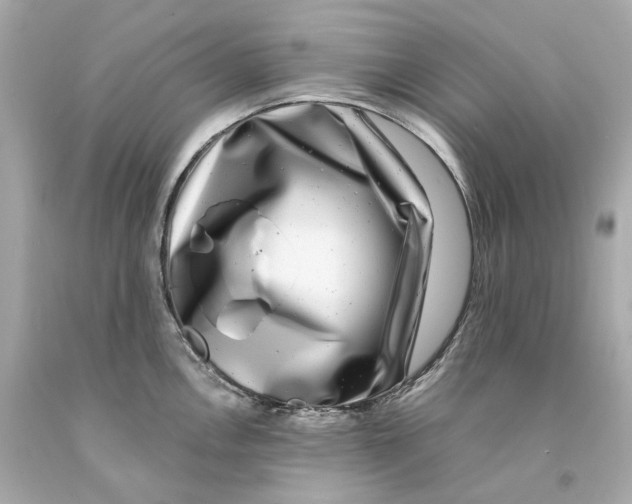 X0000093101146200710241216