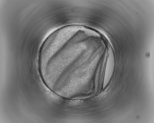 X0000093101147200710241216